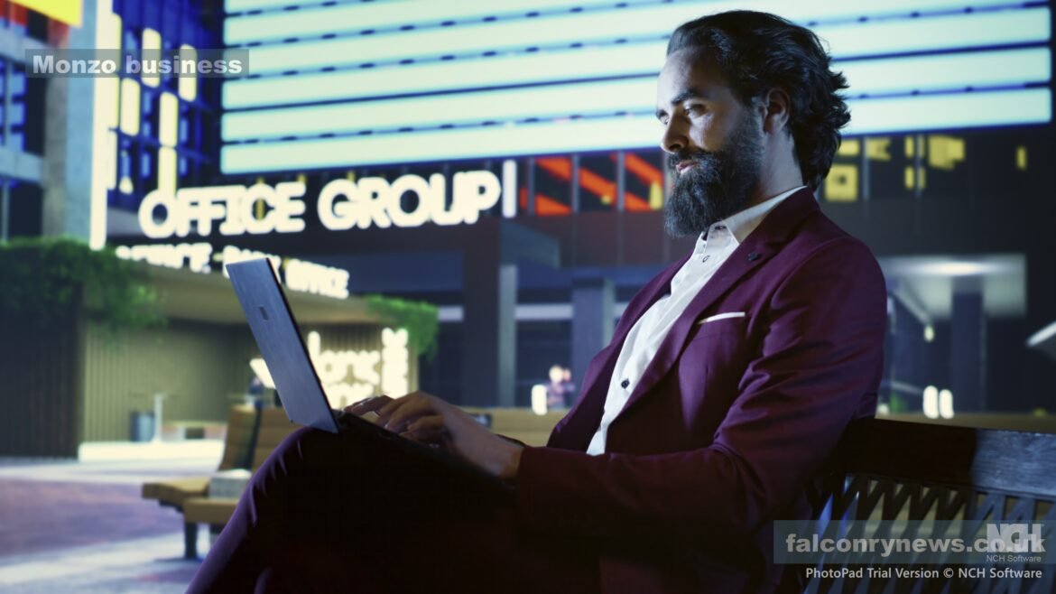 Monzo Business: A Strong Modern Approach to Managing Your Company Finances